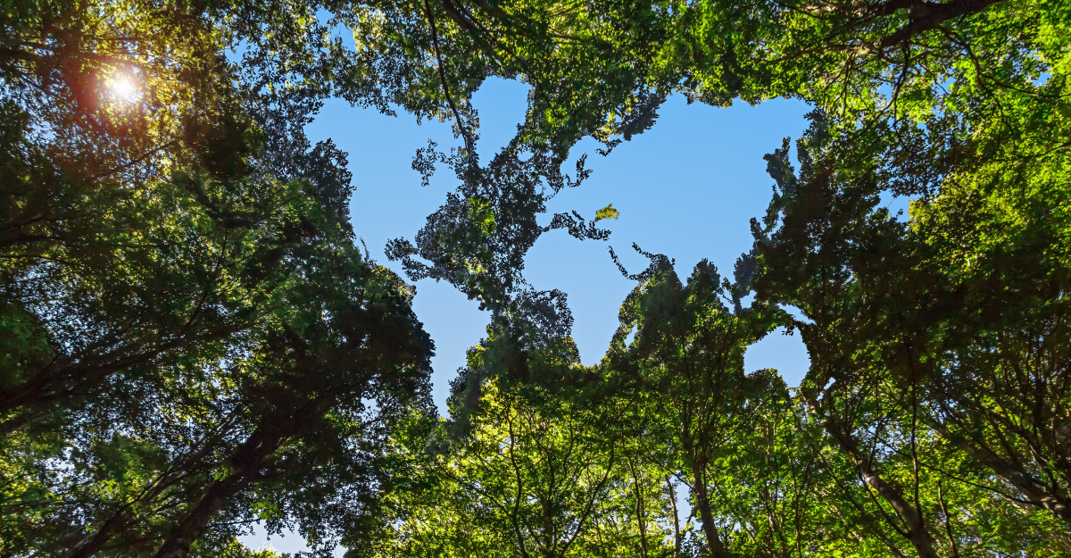 IAR2023-breaker-image-sustainability-teaser