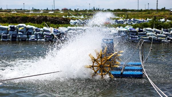 2016թ Կոկա-Կոլա ՀԲՔ Արմենիա ընկերությունը միացավ ԱՄՆՄԶԳ-ին և ՀՀ ԲՆապահպանության նախարարությանը Հայանիստ համայնքում բնական ռեսուրսների կառավարումը բարելավելու և ստորգետնյա ջրերի օգտագործումը կրճատելու համար:
