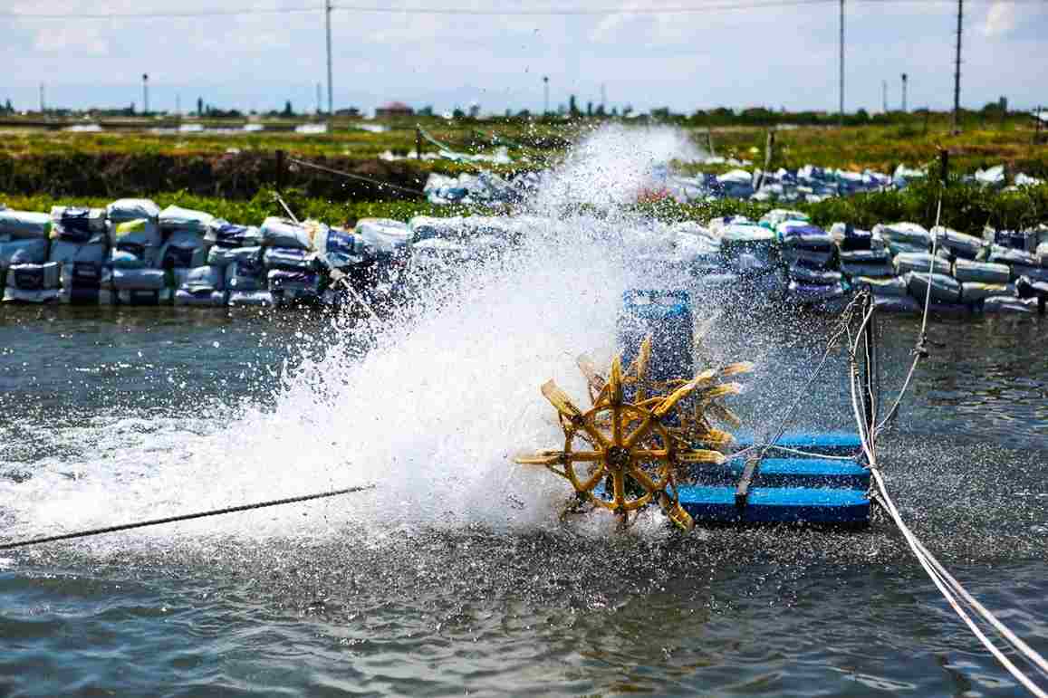 2016թ Կոկա-Կոլա ՀԲՔ Արմենիան միացավ նախագծին, որը նպատակ ունի զարգացնել ստորգետնյա ջրերի արդյունավետ կառավարմանն ուղղված քաղաքականության ու տեխնիկական լուծումների մշակմանը
